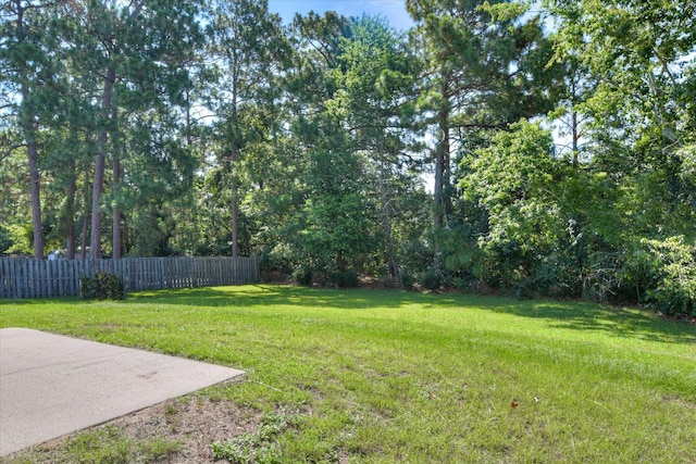 3650 Crawfordville Dr, Augusta, GA 30909 - view of yard