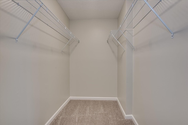 3650 Crawfordville Dr, Augusta, GA 30909 - walk in closet with carpet flooring