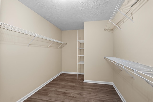 1094 Hampstead Pl, Martinez, GA 30907 - walk in closet with dark wood-type flooring