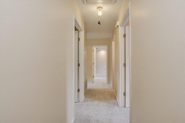 786 Springbrook Ln, Evans, GA 30809 - hallway featuring light colored carpet