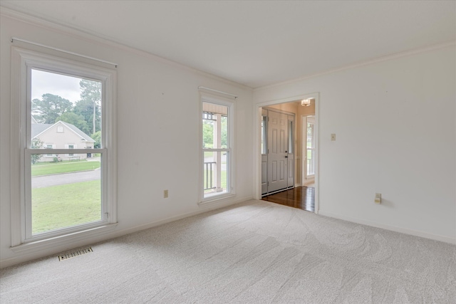786 Springbrook Ln, Evans, GA 30809 - carpeted empty room featuring ornamental molding and baseboards