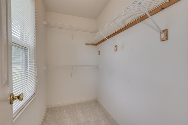 786 Springbrook Ln, Evans, GA 30809 - walk in closet with carpet