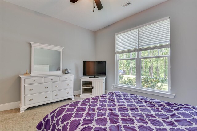 205 Mallard Ln, Mccormick, SC 29835 - photo 28