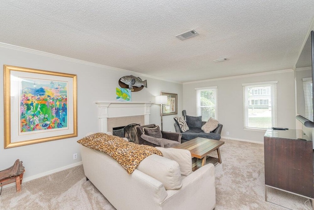 345 Old Salem Way, Martinez, GA 30907 - carpeted living room with ornamental molding, a textured ceiling, and a fireplace