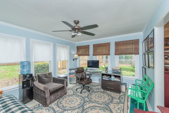345 Old Salem Way, Martinez, GA 30907 - home office with a ceiling fan, a textured ceiling, and ornamental molding
