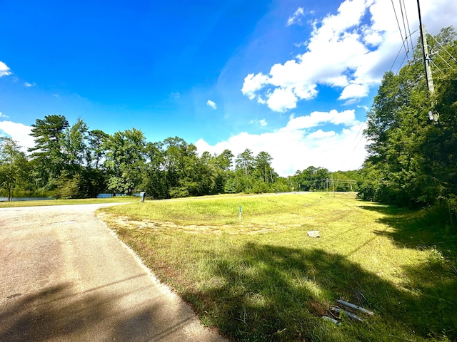 6322 Yelton Rd, Appling, GA 30802 - view of street featuring view of wooded area