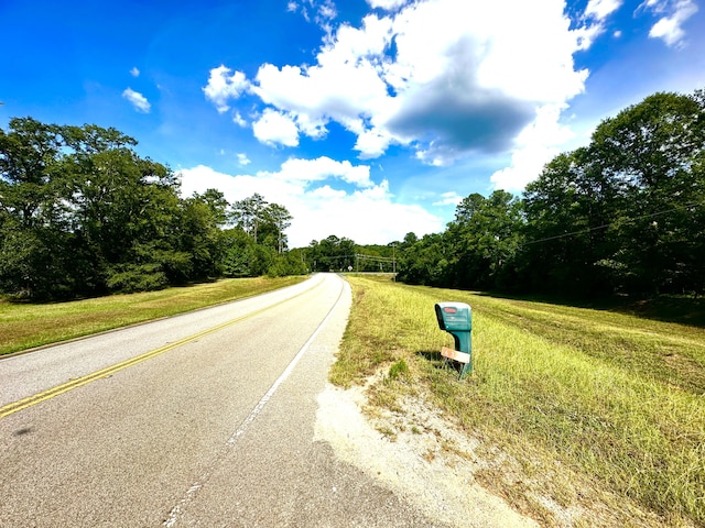6322 Yelton Rd, Appling, GA 30802 - view of asphalt street