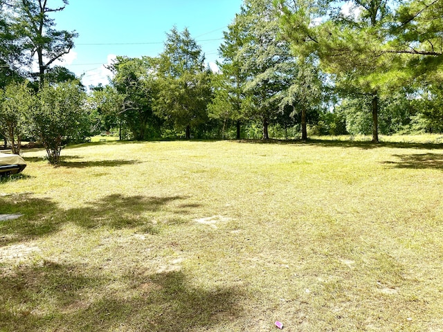 6322 Yelton Rd, Appling, GA 30802 - view of grassy yard