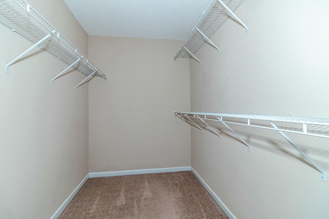 spacious closet with carpet flooring