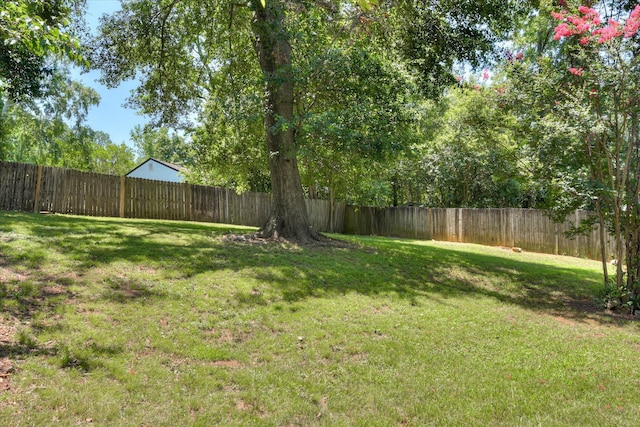 421 Bristol Rd, Martinez, GA 30907 - view of fenced backyard