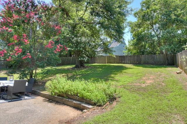 421 Bristol Rd, Martinez, GA 30907 - fenced backyard with a patio area