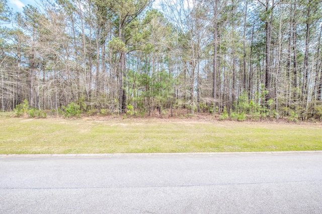 Listing photo 3 for LOT029 Belfast, North Augusta SC 29860