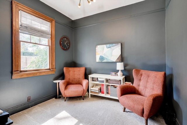 living area featuring baseboards and carpet floors