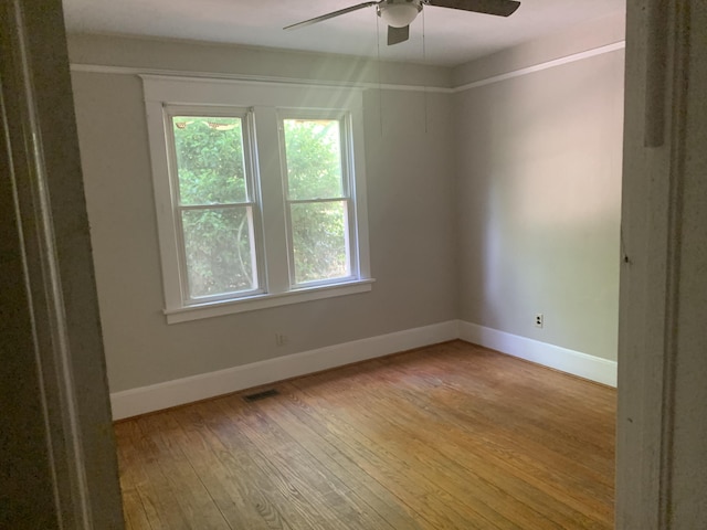 2628 Richmond Hill Rd, Augusta, GA 30906 - photo 10