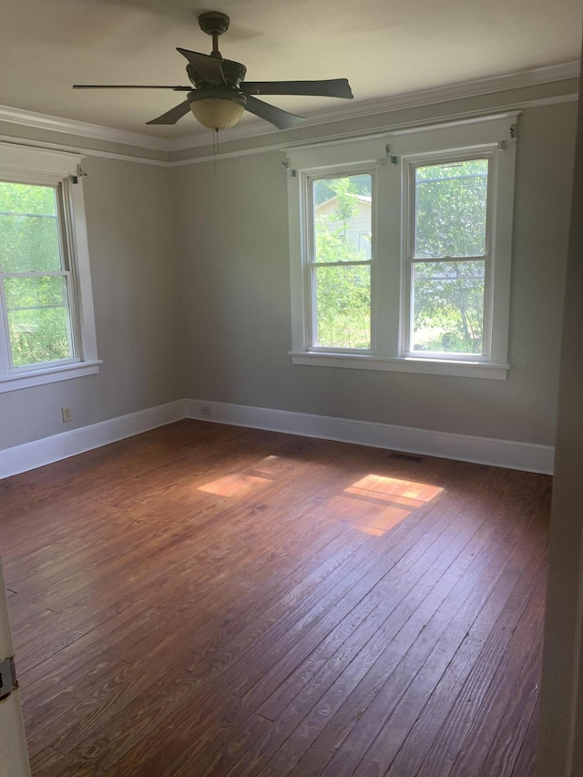 2628 Richmond Hill Rd, Augusta, GA 30906 - photo 12