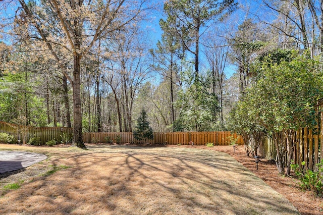 909 Nerium Trl, Evans, GA 30809 - view of yard featuring fence
