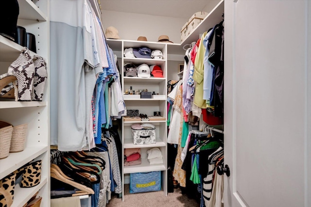spacious closet with carpet floors
