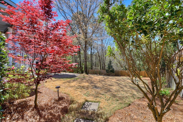 view of yard with fence