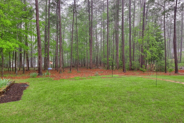 107 Stonebridge Loop, Mccormick, SC 29835 - view of yard featuring a forest view