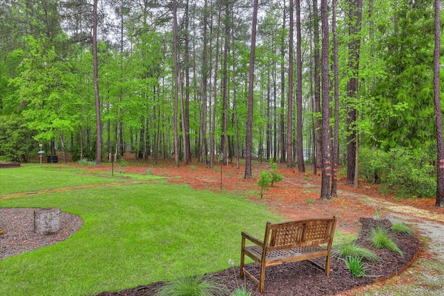 107 Stonebridge Loop, Mccormick, SC 29835 - view of yard featuring a wooded view
