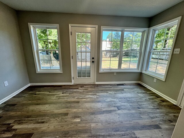 entryway featuring a healthy amount of sunlight and dark wood-type flooring