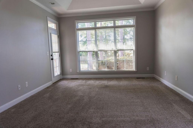 1212 Sumter Landing Ln, Evans, GA 30809 - carpeted spare room featuring ornamental molding and plenty of natural light
