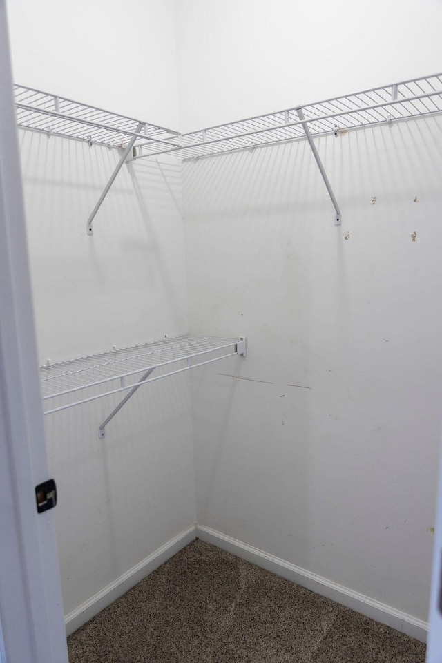 1212 Sumter Landing Ln, Evans, GA 30809 - walk in closet with carpet floors