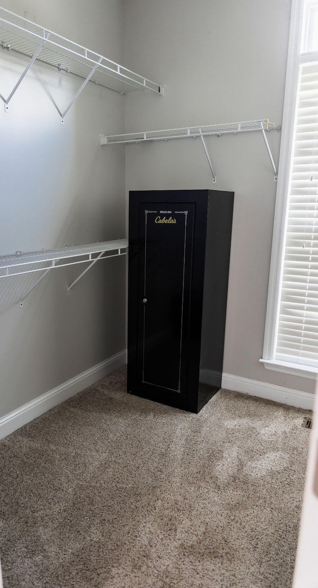 1212 Sumter Landing Ln, Evans, GA 30809 - walk in closet with carpet flooring