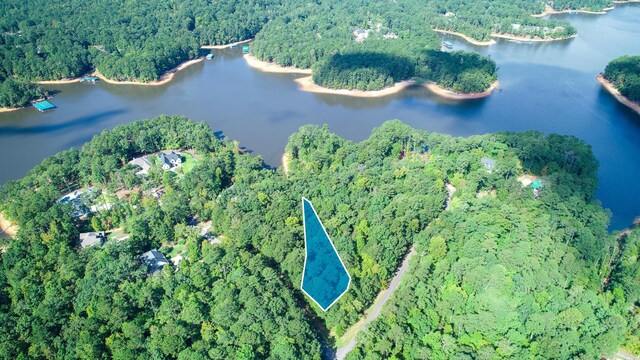 B3L10 Rolland Pl, Mccormick, SC 29835