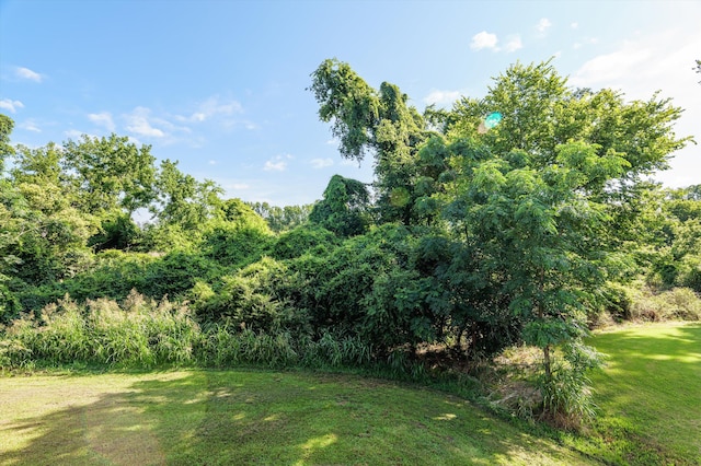 461 Rivernorth Dr, North Augusta, SC 29841 - view of grassy yard