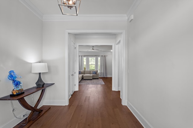 461 Rivernorth Dr, North Augusta, SC 29841 - hallway with ornamental molding and wood finished floors
