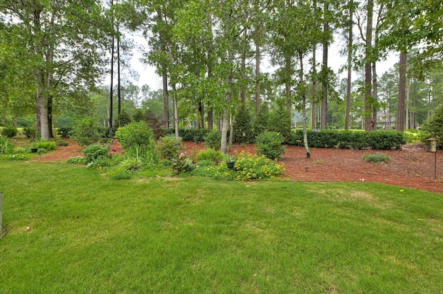 5400 Belle Mead Dr, Aiken, SC 29803 - photo 46