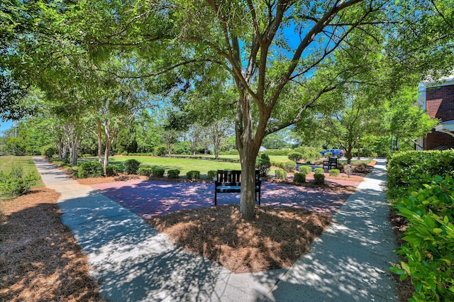 2349 Williams St, Augusta, GA 30904 - view of property's community