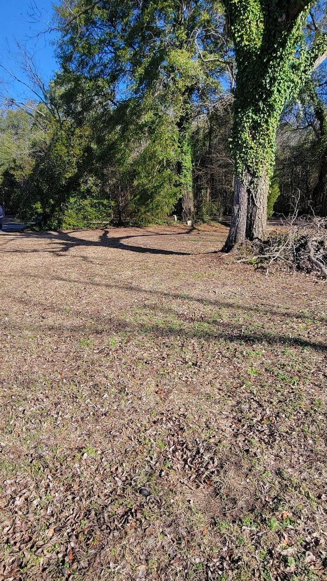 0 Old Waynesboro Rd, Keysville, GA 30816 - photo 5