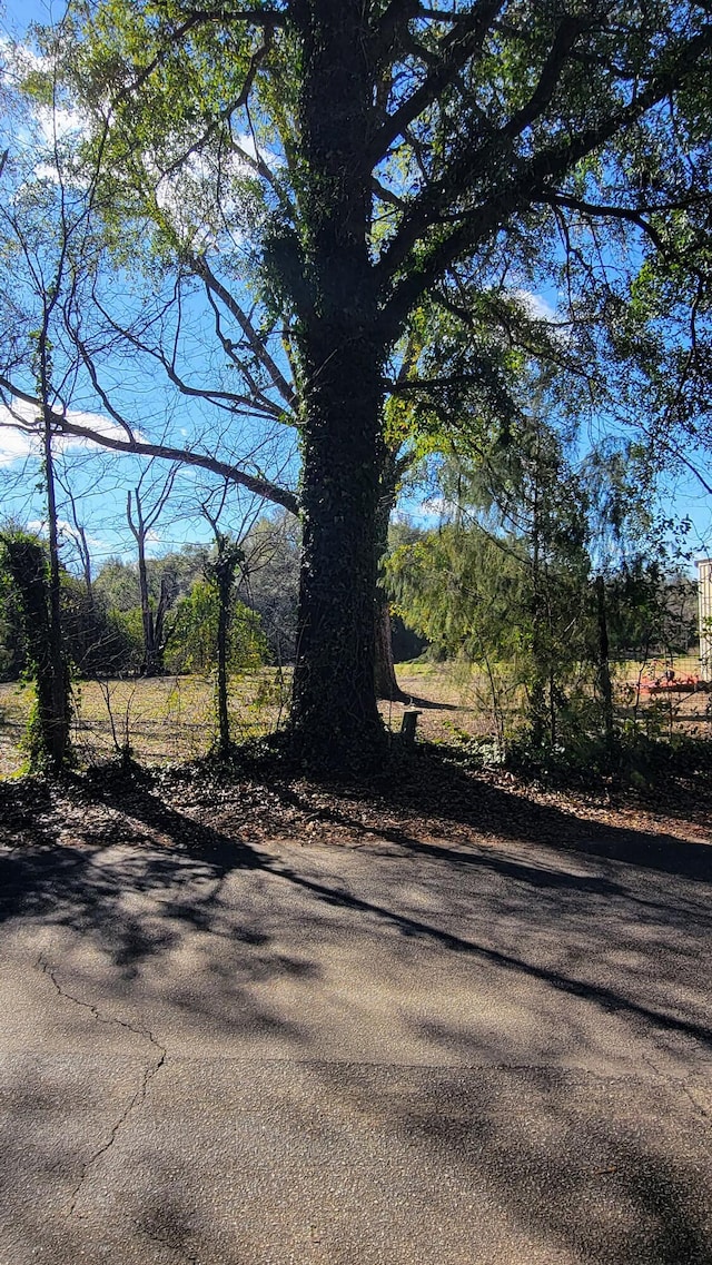 0 Old Waynesboro Rd, Keysville, GA 30816 - photo 7