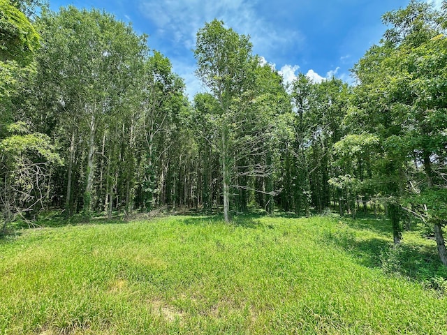 0 Chappel Rd, Waynesboro, GA 30830