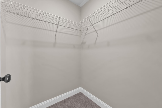 2767 Huntcliffe Dr, Augusta, GA 30909 - walk in closet featuring carpet flooring