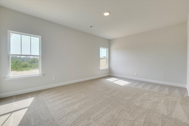 empty room featuring a wealth of natural light and light carpet