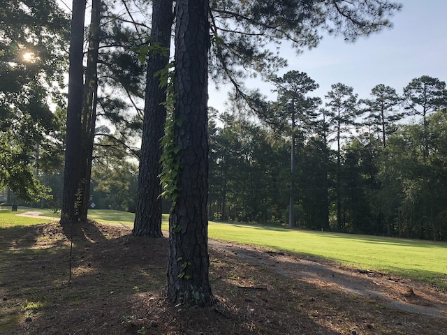 000 Surrey Rd, Thomson, GA 30824 - photo 1