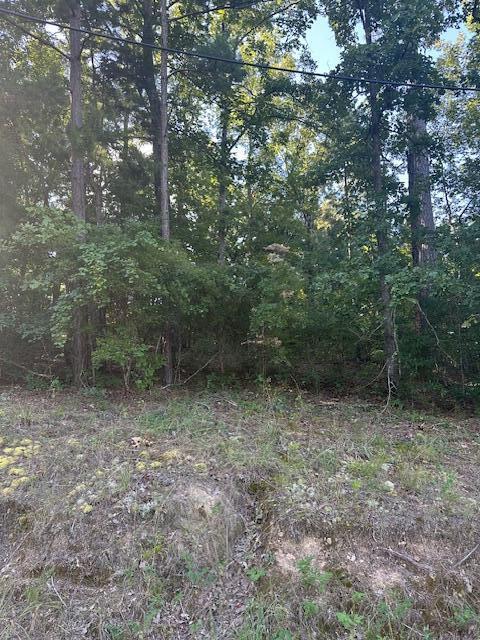 007 Surrey Rd, Thomson, GA 30824 - photo 4