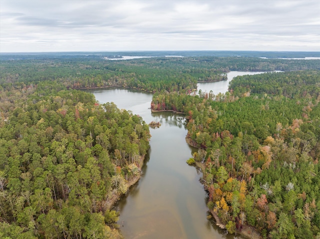 1008 Folly Run Dr, Lincolnton, GA 30817 - bird's eye view of a heavily wooded area and a nearby body of water