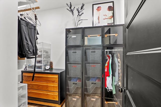 1008 Folly Run Dr, Lincolnton, GA 30817 - view of spacious closet