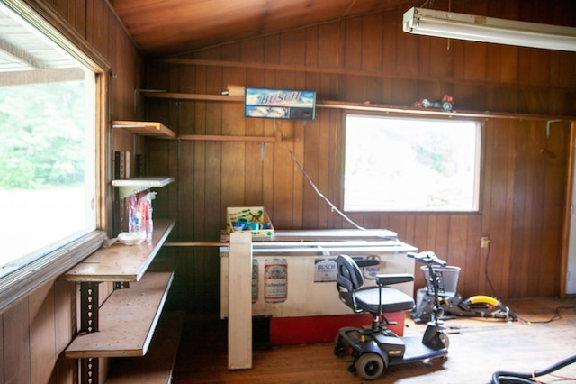 misc room featuring wooden walls, a wealth of natural light, and lofted ceiling