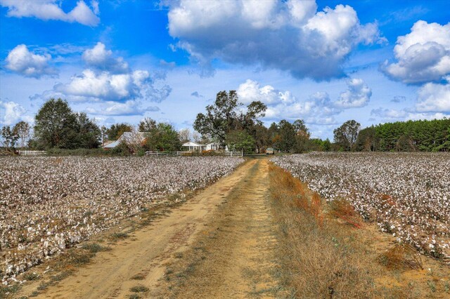 view of road with a rural view