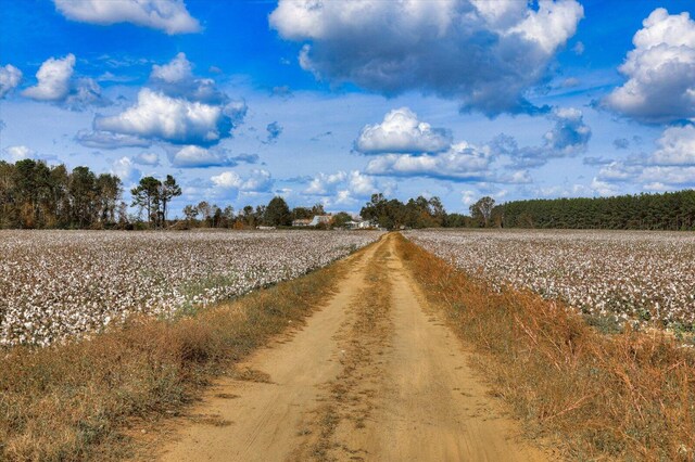 view of road featuring a rural view