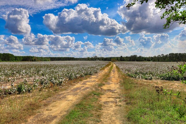 view of street featuring a rural view