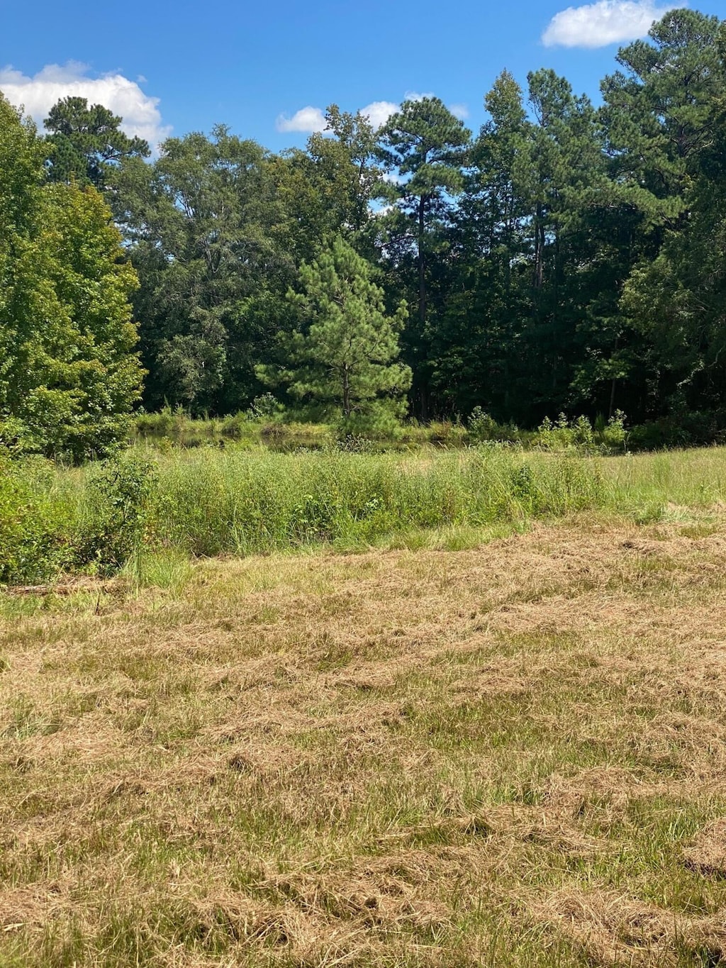 00 Sellars Rd, Appling, GA 30802