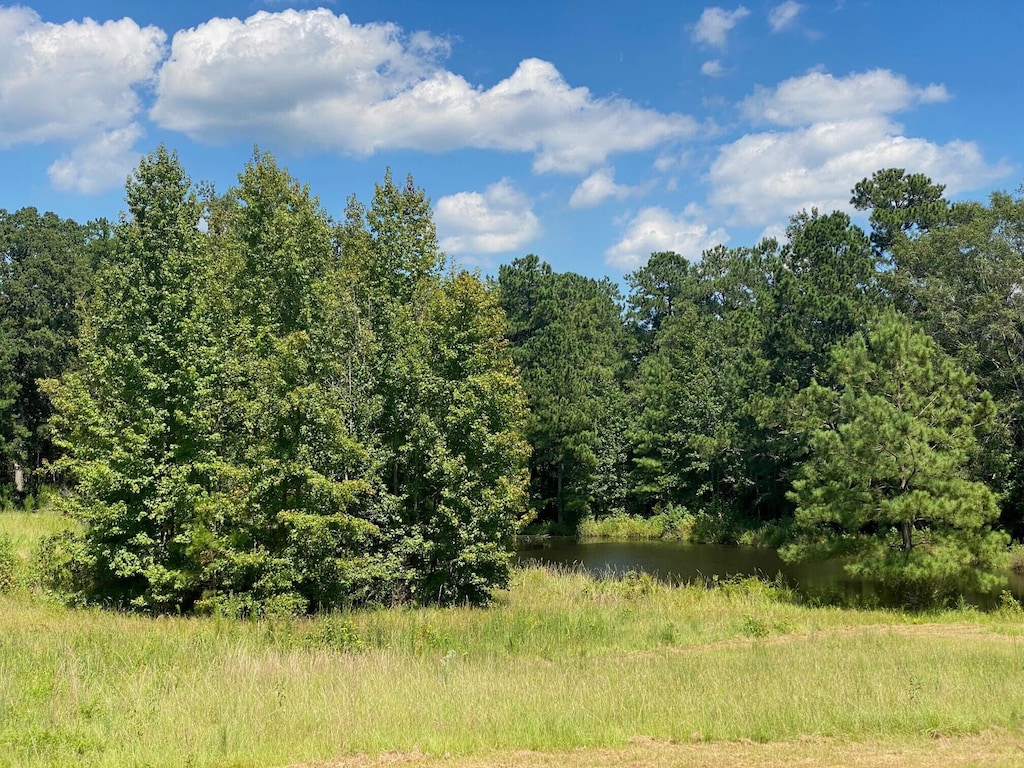 00 Sellars Rd, Appling, GA 30802