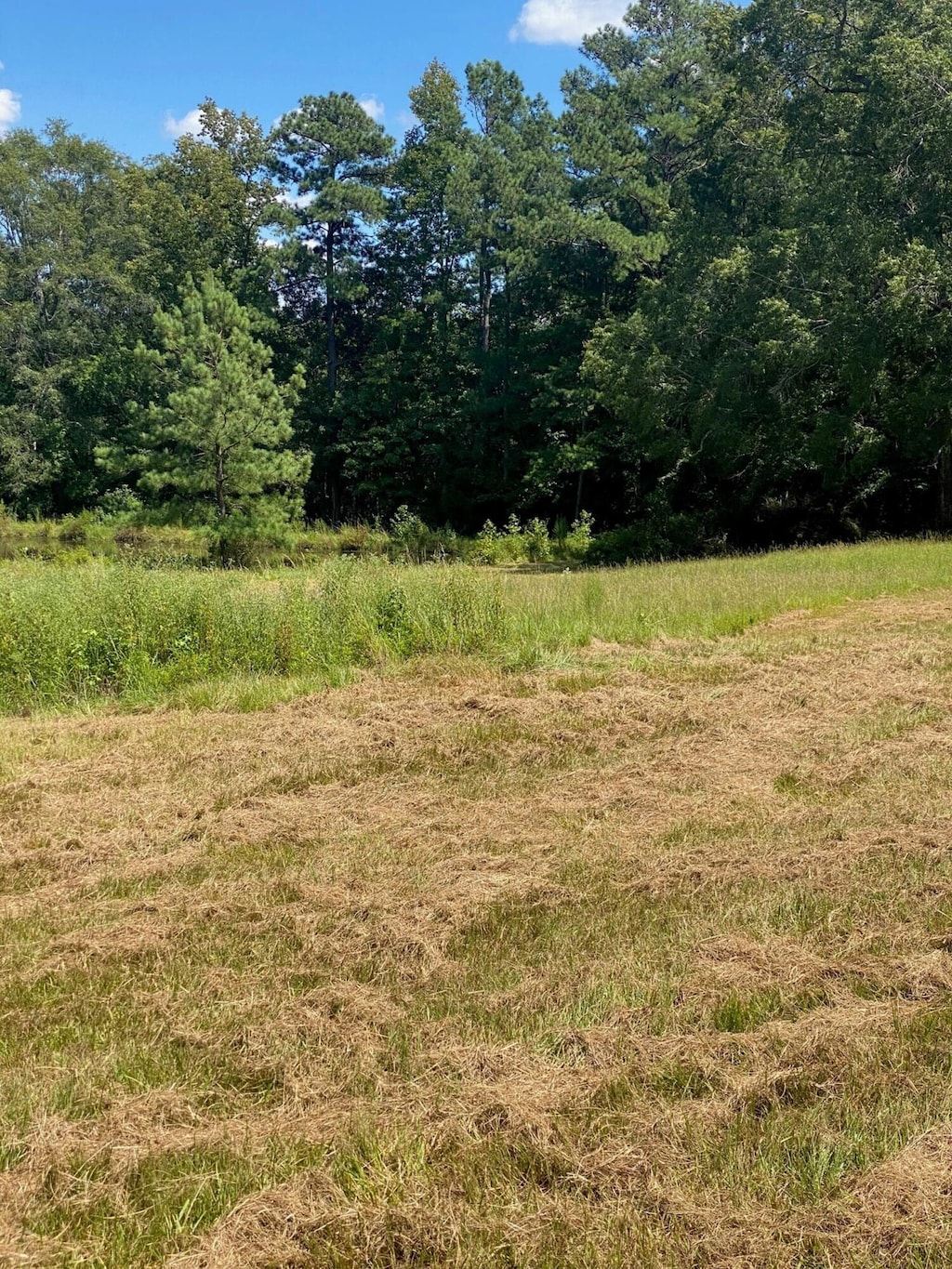 00 Sellars Rd, Appling, GA 30802