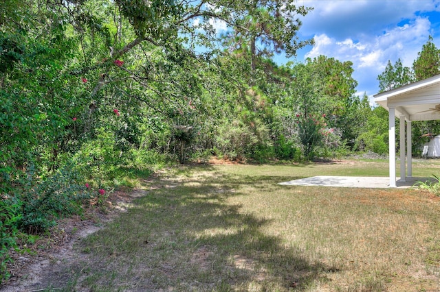 130 Stirrup Cup Ct, North Augusta, SC 29841 - photo 34